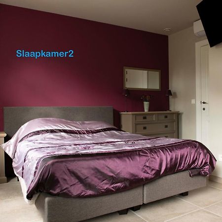 Appartamento Studiobeerse Met Sauna Zwembad En Spa Esterno foto